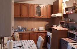 Casa zona Cetatii 2 camere, 100 mp utili, teren 200 mp și terasa, 