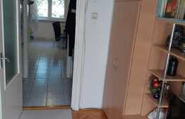 Apartament de 4 camere, 80 mp, etaj 1, cartierul Rogerius