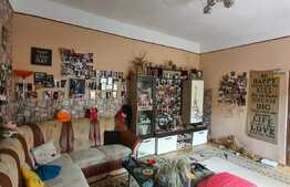 Casă individuala cu  4 dormitoare, 290 mp teren, Ultracentral