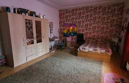 Casă individuala cu  4 dormitoare, 290 mp teren, Ultracentral