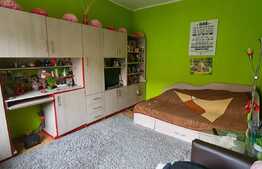 Casă individuala cu  4 dormitoare, 290 mp teren, Ultracentral