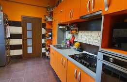 Casă individuala cu  4 dormitoare, 290 mp teren, Ultracentral