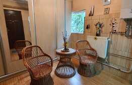 Casă individuala cu  4 dormitoare, 290 mp teren, Ultracentral