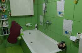 Casă individuala cu  4 dormitoare, 290 mp teren, Ultracentral