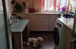 Apartament 2 camere, 42mp, mobilat/utilat, zona Iosia 