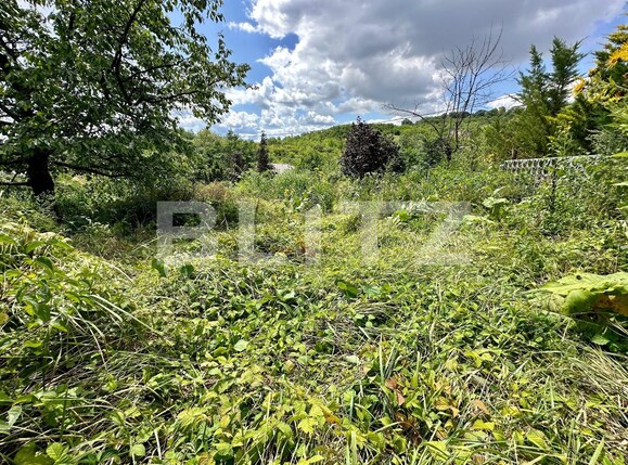 Teren de vânzare Podgoria - 91841TV | BLITZ Oradea | Poza5