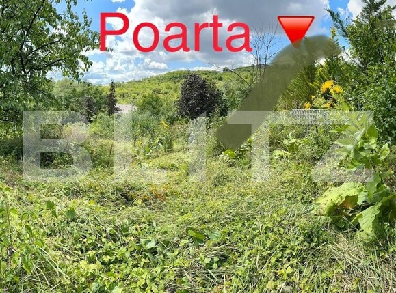 Teren de vânzare Podgoria - 91841TV | BLITZ Oradea | Poza3