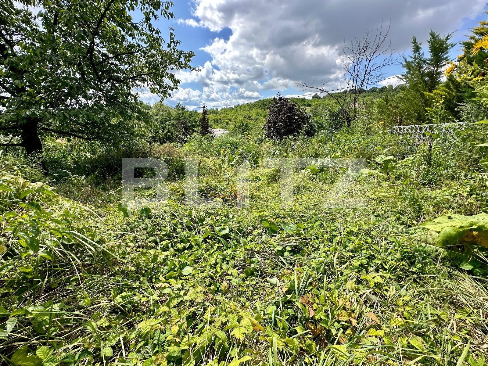 Teren de vânzare Podgoria - 91841TV | BLITZ Oradea | Poza5