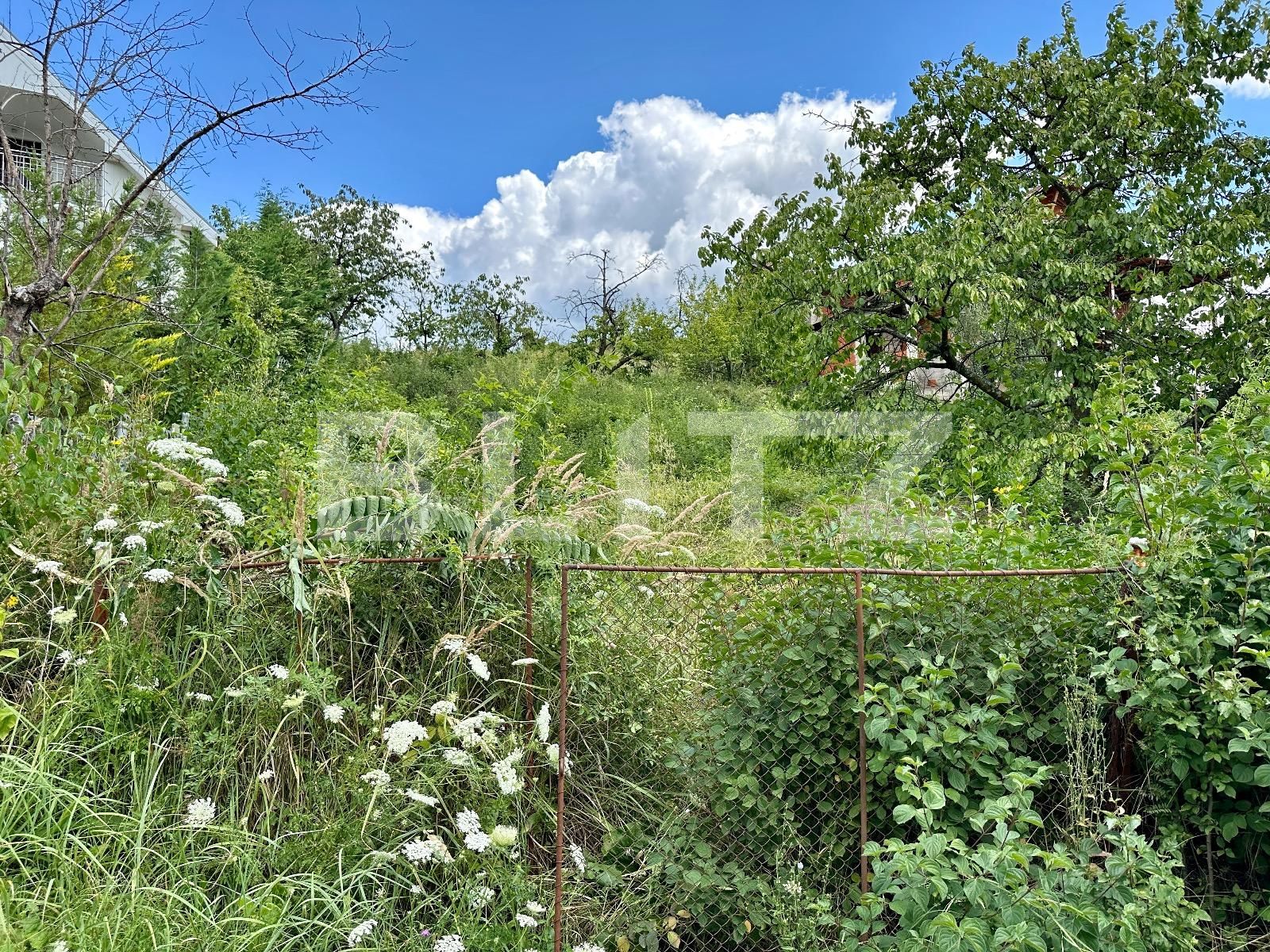 Teren de vânzare Podgoria - 91841TV | BLITZ Oradea | Poza6