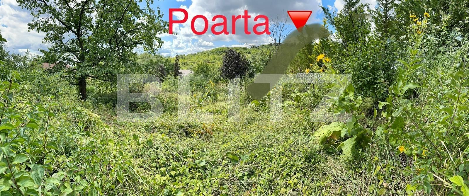 Teren de vânzare Podgoria - 91841TV | BLITZ Oradea | Poza3