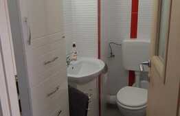 Apartament 3 camere, 67 mp, mobilat/utilat, zona Decebal