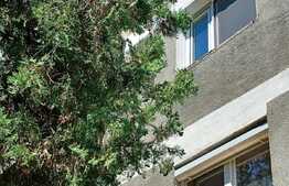 Apartament 2 camere, 35 mp, etaj intermediar, zona Rogerius