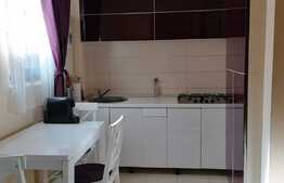 Apartament de 2 camere, 40 mp, zona Dacia 