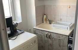 Garsoniera 33 mp, mobilat/utilat, zona Rogerius 