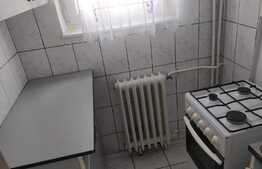 Garsoniera 24 mp, mobilat/utilat, zona Iosia