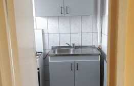 Garsoniera 24 mp, mobilat/utilat, zona Iosia