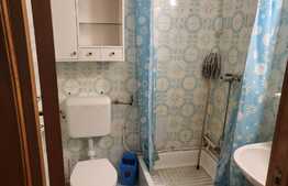 Apartament de 4 camere, 110 mp, etaj intermediar, Ultracentral