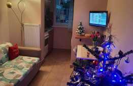 Apartament 1 camera, 30 mp, mobilat/utilat, zona Exterior Vest