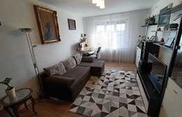 Apartament 50 mp, 2 camere, mobilat/utilat, zona Rogerius