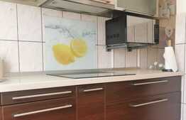 Apartament 2 camere, 50 mp, mobilat/utilat, zona Rogerius