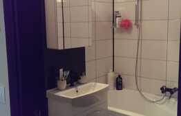 Apartament de 4 camere, 97 mpc, mobilat/utilat, zona b-dul Dacia 