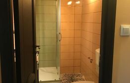 Apartament de 4 camere, 97 mpc, mobilat/utilat, zona b-dul Dacia 