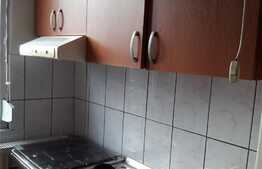 Apartament 1 camera, 30 mp, zona Sanmartin