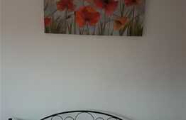 Apartament 1 camera, 30 mp, zona Sanmartin