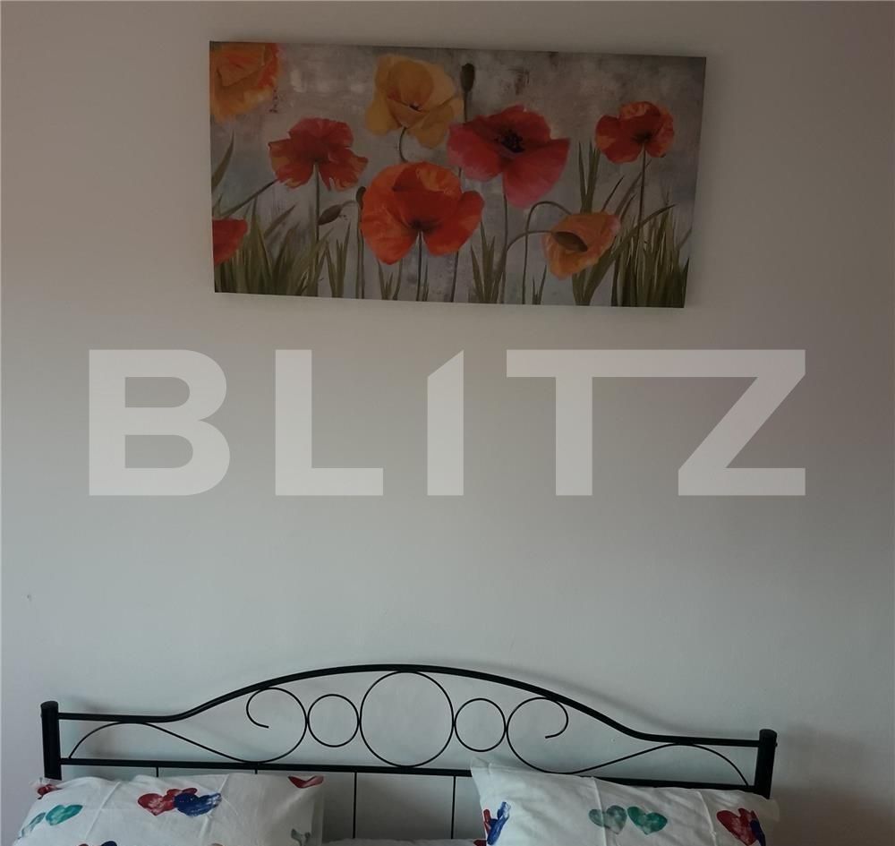 Garsonieră de vânzare Sanmartin - 91977AV | BLITZ Oradea | Poza4