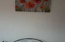 Apartament de 1 camera, 30 mp, mobilat/utilat, zona Sanmartin