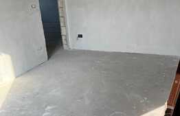 Apartament 3 camere, 100 mp, etaj intermediar, zona Iosia