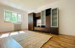 Apartament 2 camere, 43 mp, etaj intermediar, zona Rogerius