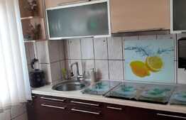 Apartament de 2 camere, 50 mp, mobilat/utilat, zona Rogerius