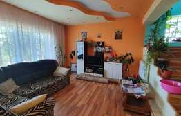 Casă 5 camere, 130 mp, teren 787 mp, zona Dealuri Oradea