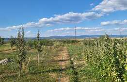 Casa 3 camere, anexe, gradina, în  Hotar la 34 km de Oradea