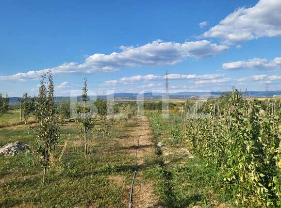 Casa de vânzare 4 camere Nord-Est - 92590CV | BLITZ Oradea | Poza17