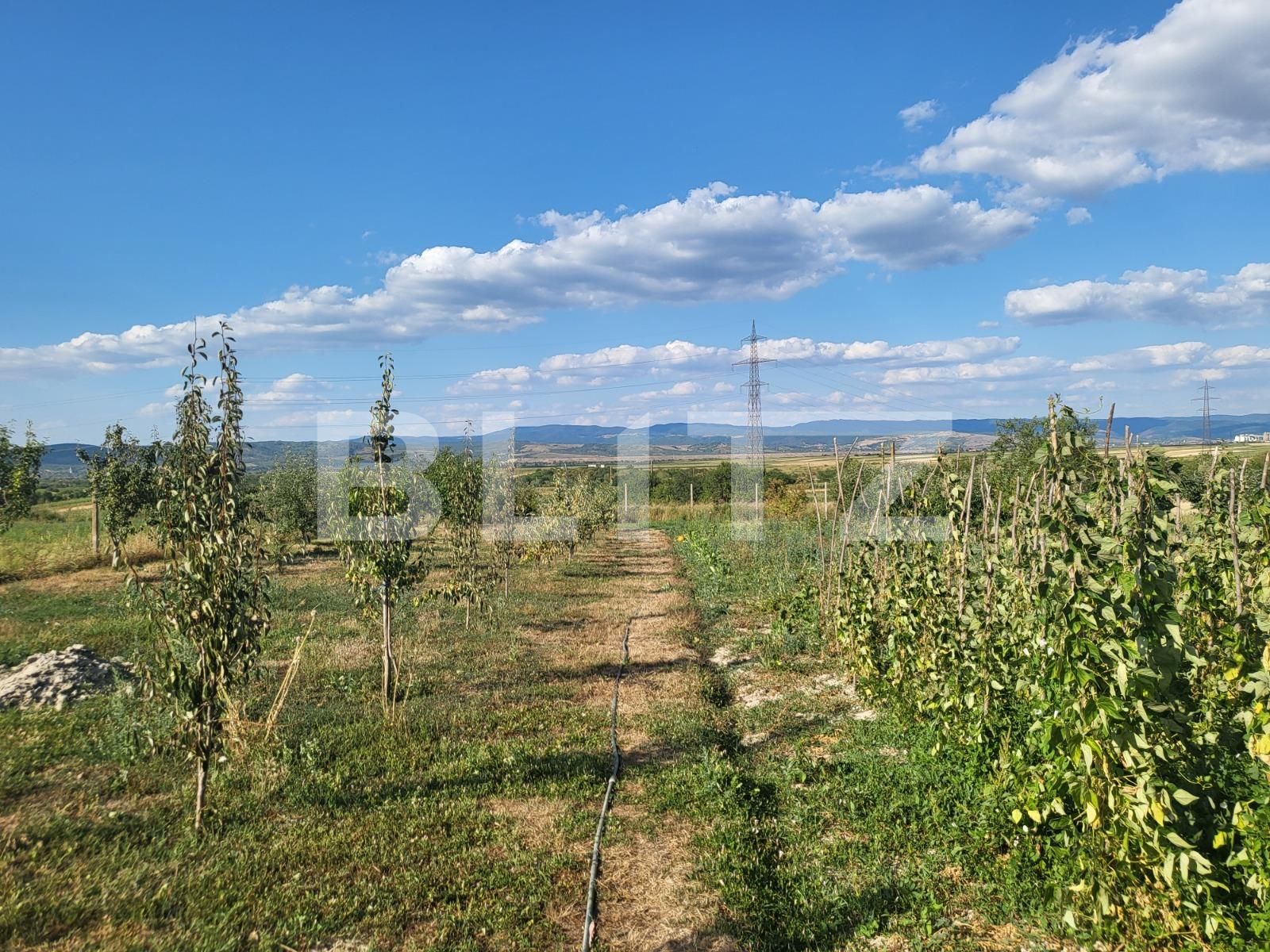 Casa de vânzare 4 camere Nord-Est - 92590CV | BLITZ Oradea | Poza17