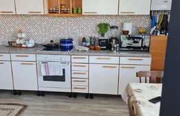 Oportunitate! Casa 4 camere, 300 mp, cartierul Grigorescu