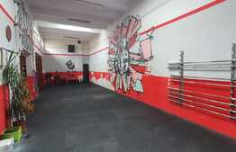 Hală de 180 mp, central, în spate la Oradea Plaza