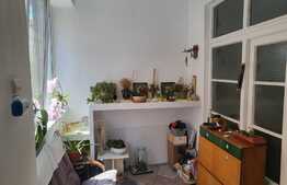 Casa Individuala, 127 mp, curte 363 mp, Central