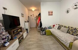 Apartament de 2 camere, semidecomandat, 55 mp, zona Decebal