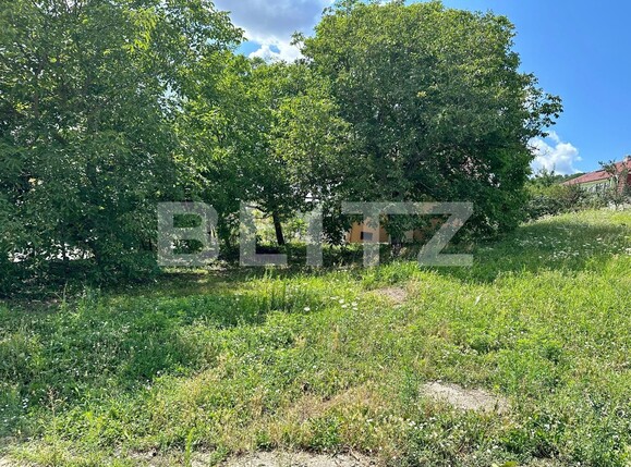 Teren de vânzare Podgoria - 94146TV | BLITZ Oradea | Poza7