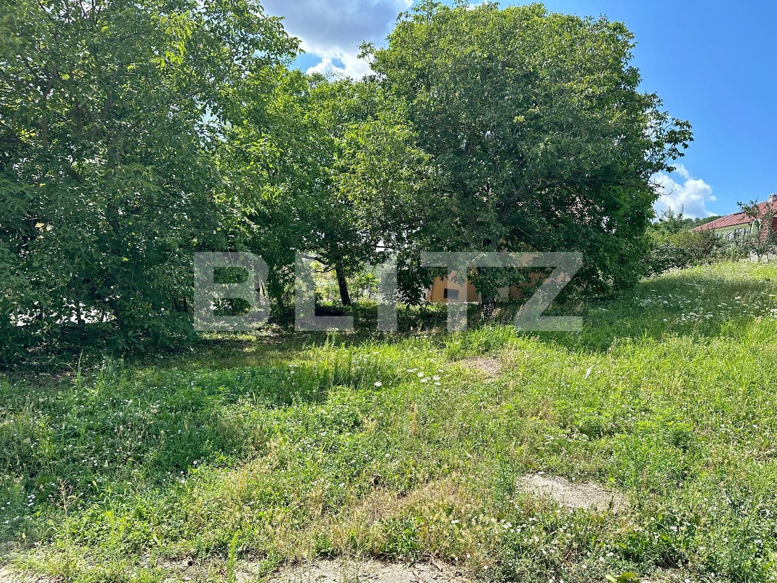 Teren de vânzare Podgoria - 94146TV | BLITZ Oradea | Poza7