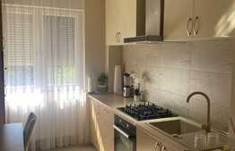 Apartament de 2 camere, 50 mp, etaj intermediar, zona Decebal