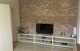 Apartament de 2 camere, 50 mp, etaj intermediar, zona Decebal