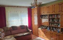 Apartament de 2 camere, 51 mp, mobilat/utilat, zona Iosia