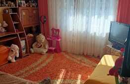 Apartament de 2 camere, 51 mp, mobilat/utilat, zona Iosia