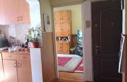 Apartament de 2 camere, 51 mp, mobilat/utilat, zona Iosia