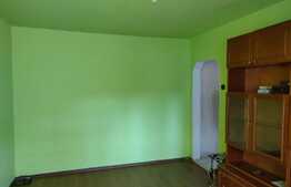 Apartament de 2 camere, 46 mp, etaj intermediar, zona Rogerius