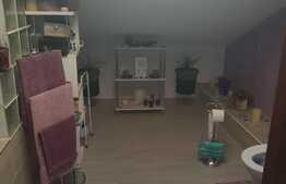 Casă individuală, 5 camere, 158 mp, 232 mp teren, zona IOȘIA